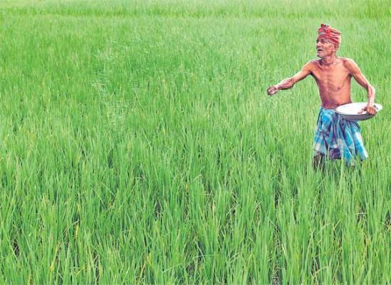 19 lakh farmers enrolled under govt's pension scheme