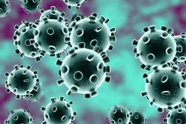 COVID-19: Total 236 coronavirus cases in India, says ICMR