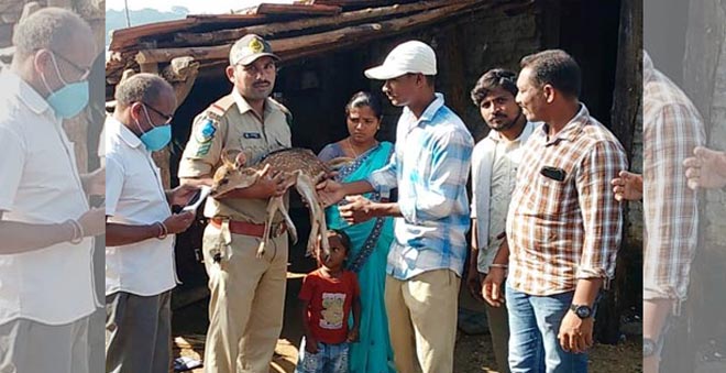 Fawn rescued in Mahabubabad district