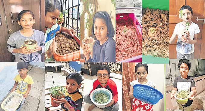 Students of DPS Nacharam connect with nature through cultivation