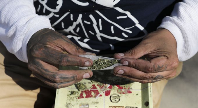 Mexico_marijuana_drugs_cana