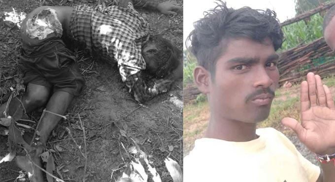 Telangana: Youngster dies as tiger attacks in Asifabad