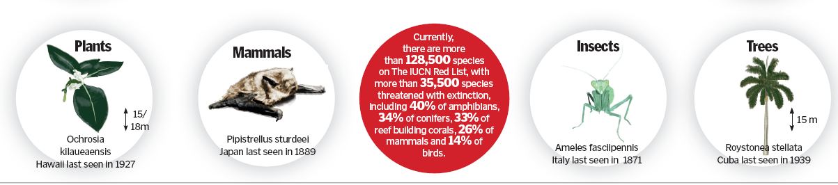  IUCN Red List 