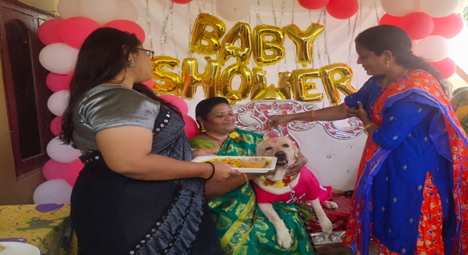Khammam couple throw ‘baby shower’ for pet dog