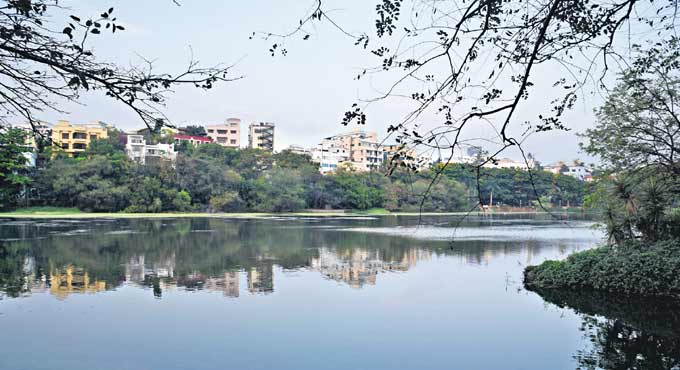 Hyderabad's Lotus Pond