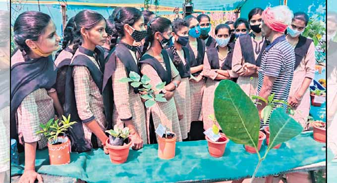 Medicinal plants expo a big draw in Kothagudem