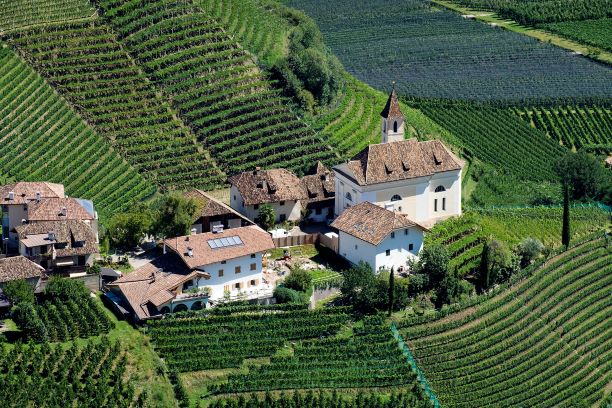 Italy’s traditional Soave vineyards-farming