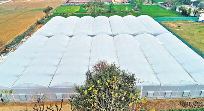 Barton Breeze plans to set hydroponic farms in Hyderabad