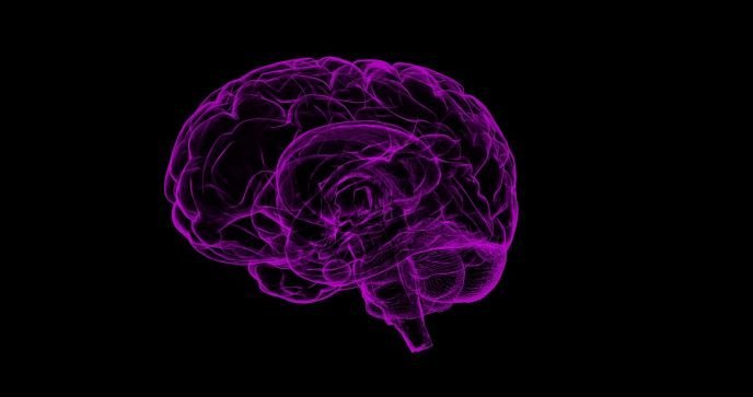 Scientists identify mechanism linking traumatic brain injury to neurodegenerative disease