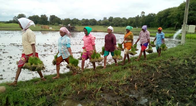 Telangana: Farmers receive Rythu Bandhu benefit