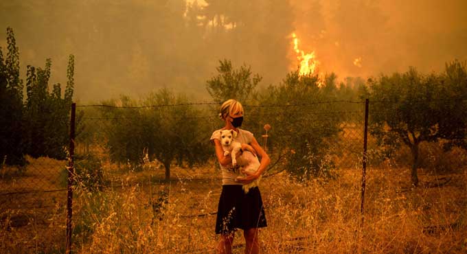 Massive forest fire in Greece still burning for 7th day