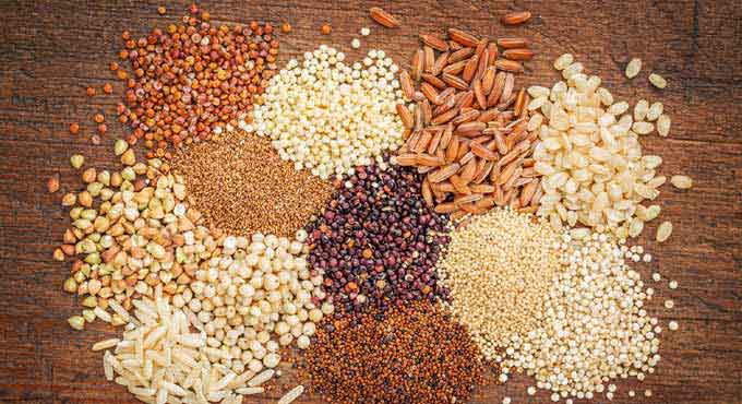 Consuming millets can reduce cholesterol: Study