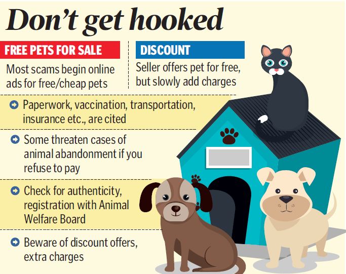 Buying pets online a risky proposition - Telangana Today