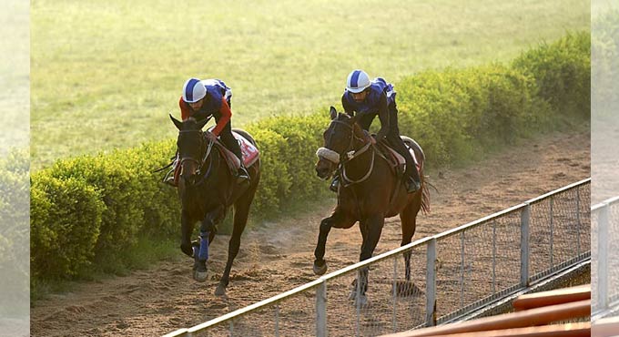 Horse racing: Francis Baton, Ashwa Bravo please in trials