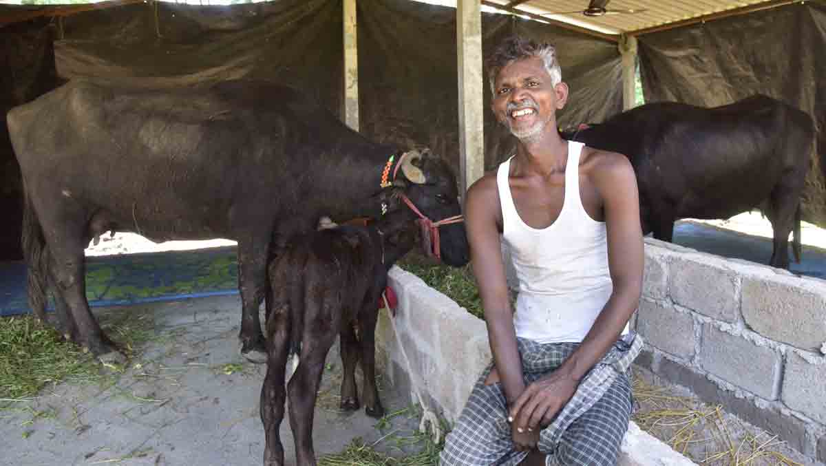 Dalit Bandhu changing lives in Telangana