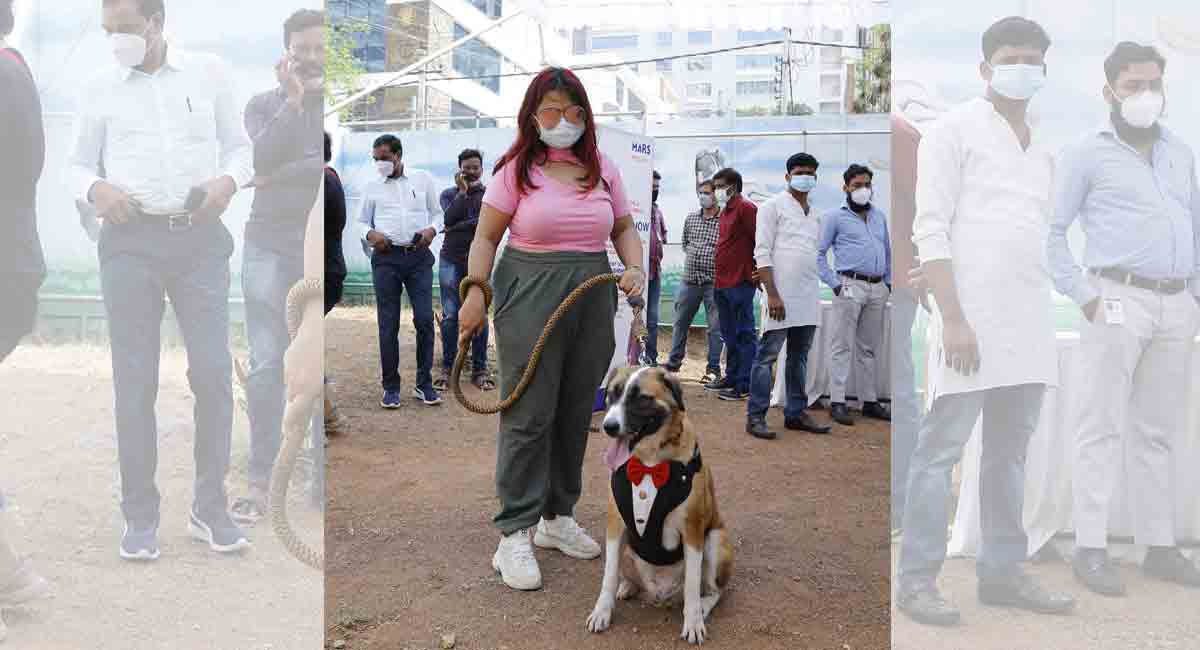 Hyderabad celebrates indie pups - Telangana Today