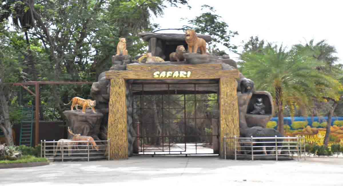 safari store in hyderabad