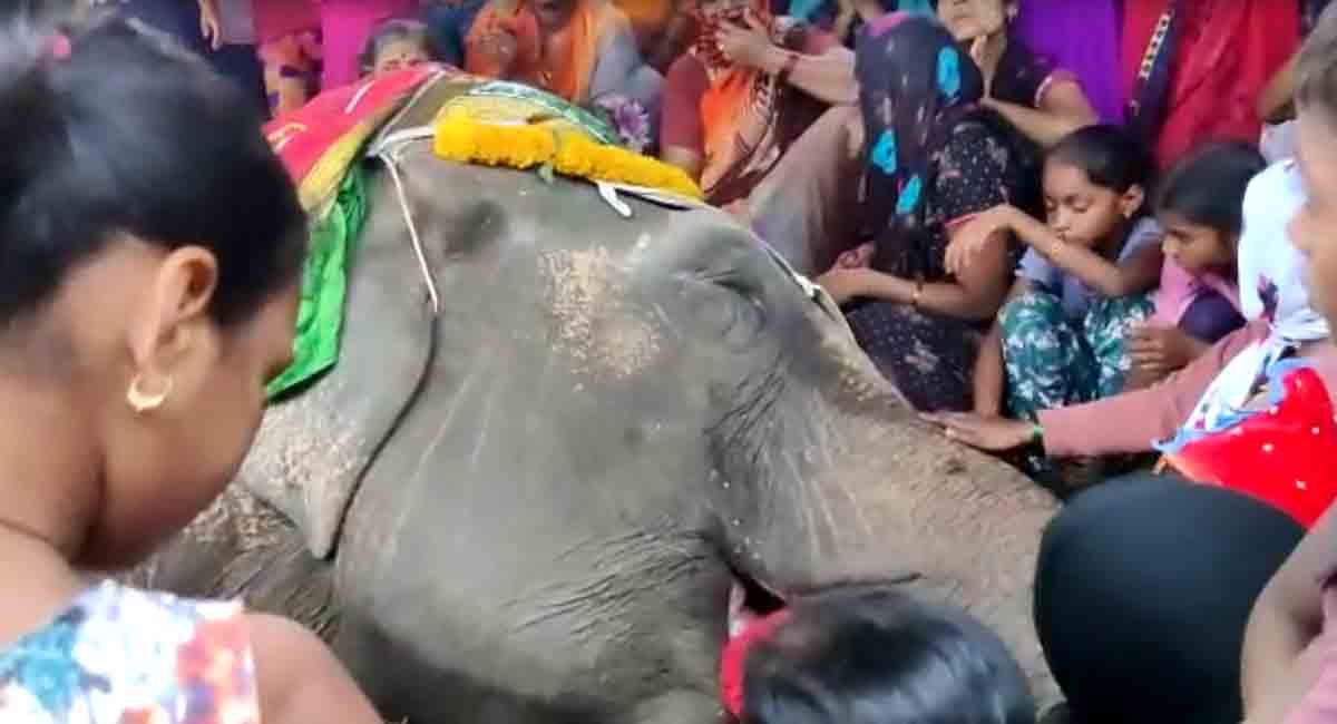 Elephant Sudha Rani who participated in Bonalu and Mohrram, passes away
