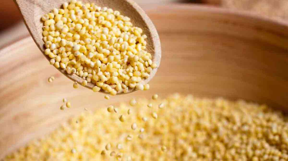 Make millets part of diet to stay away from diabetes: Experts