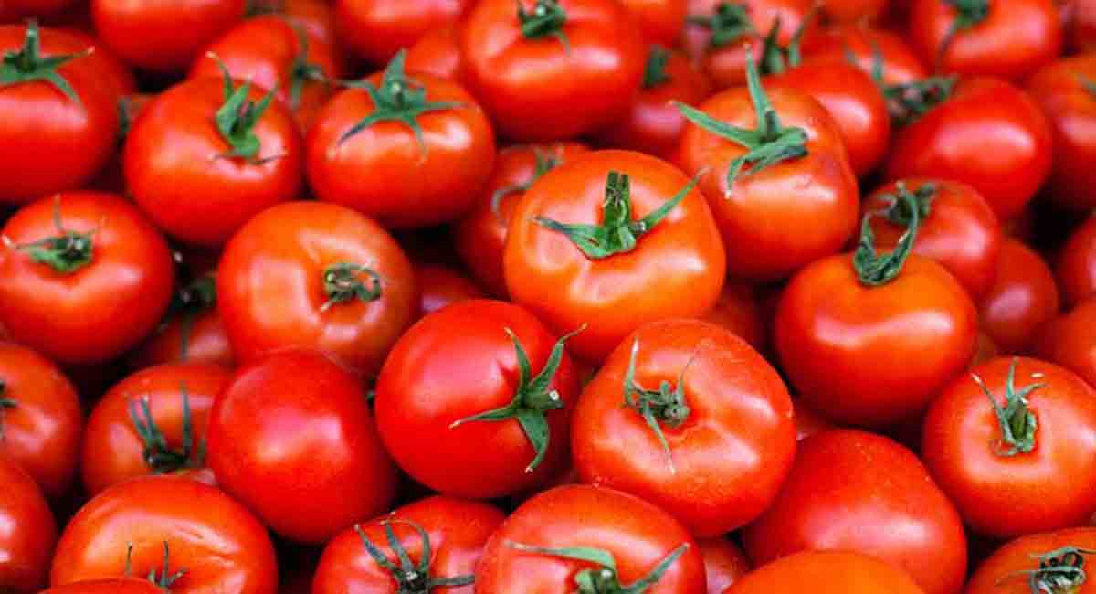 Increasing tomato prices strike meme fest on Twitter