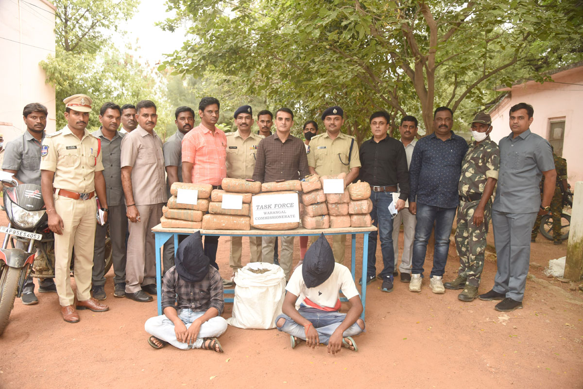 Warangal: Two inter-state peddlers nabbed with Rs 5.30 lakh worth ganja