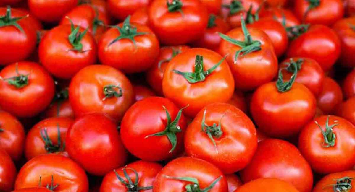 Tomato prices soar, touch Rs 100/kg in Chennai