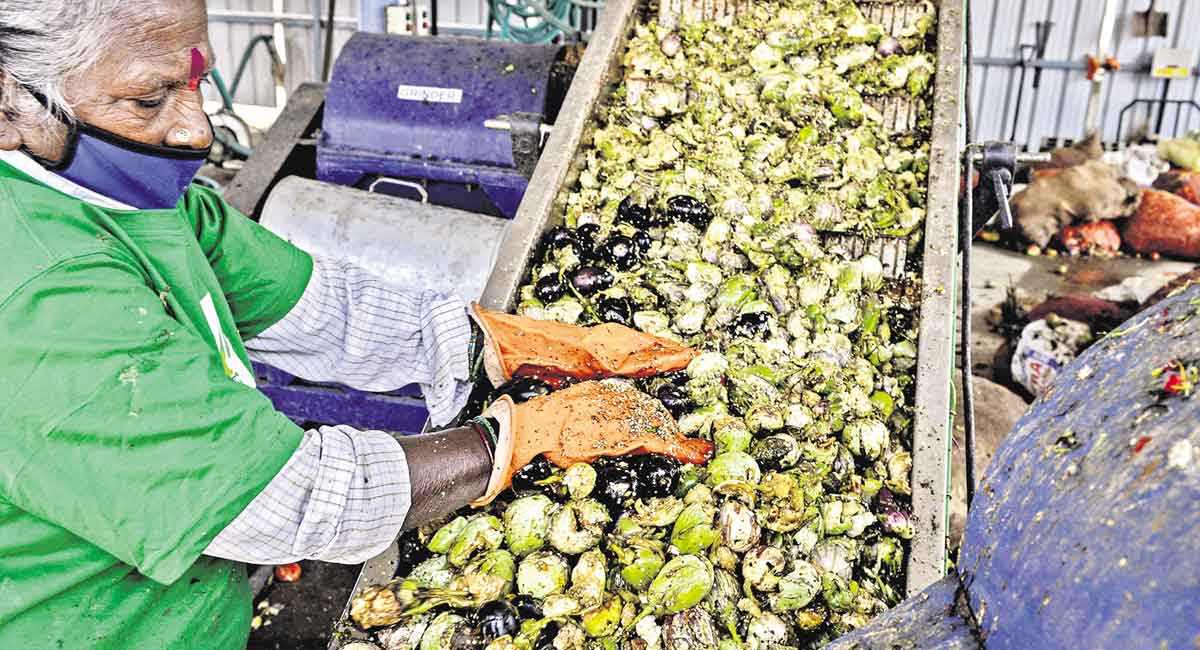 Telangana: Biodigesters in integrated markets for green energy production