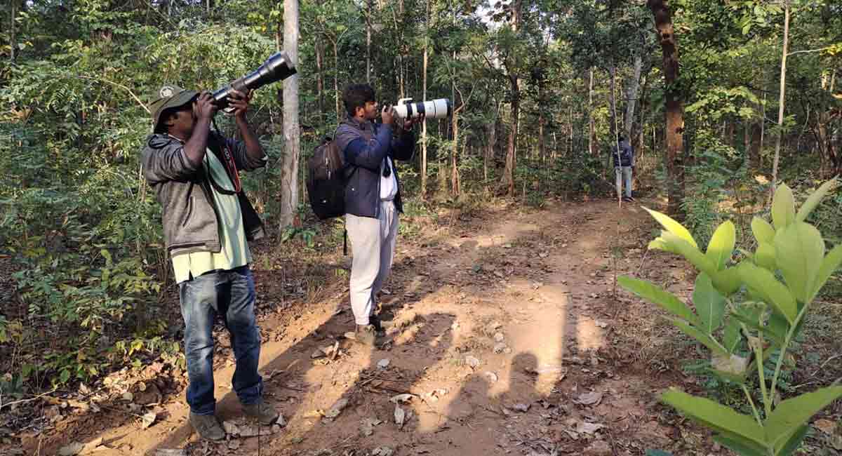 Asifabad: 2nd edition of Bird Walk fest gets good response