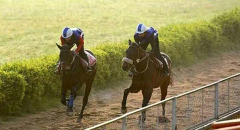 Horse-racing---