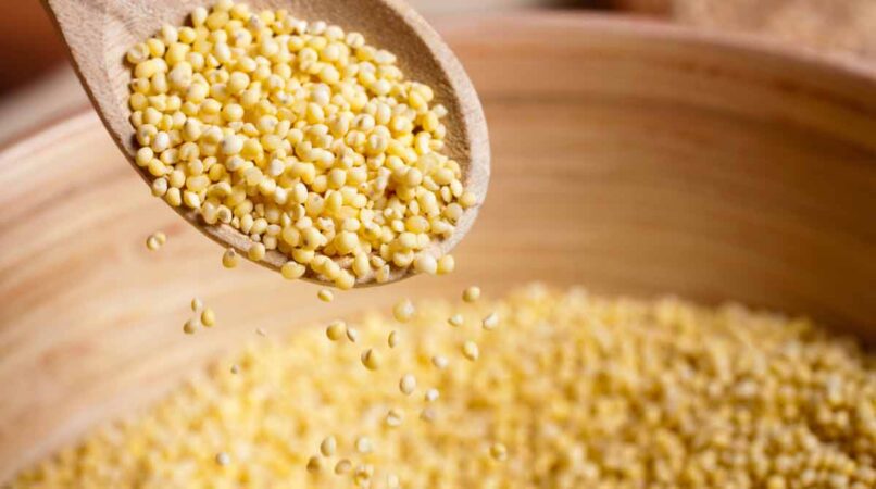 Eating millets leads to better growth in children: Study