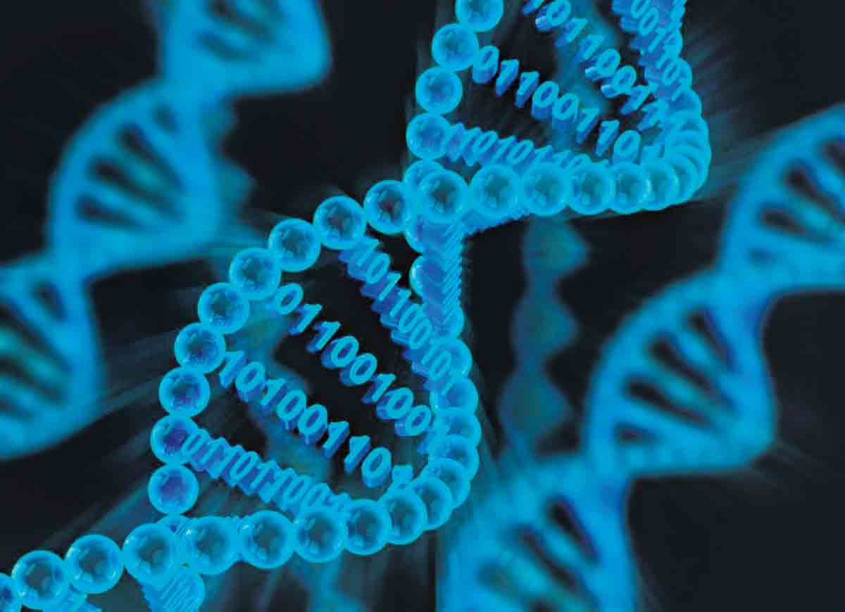 It’s in the Genes – is it?
