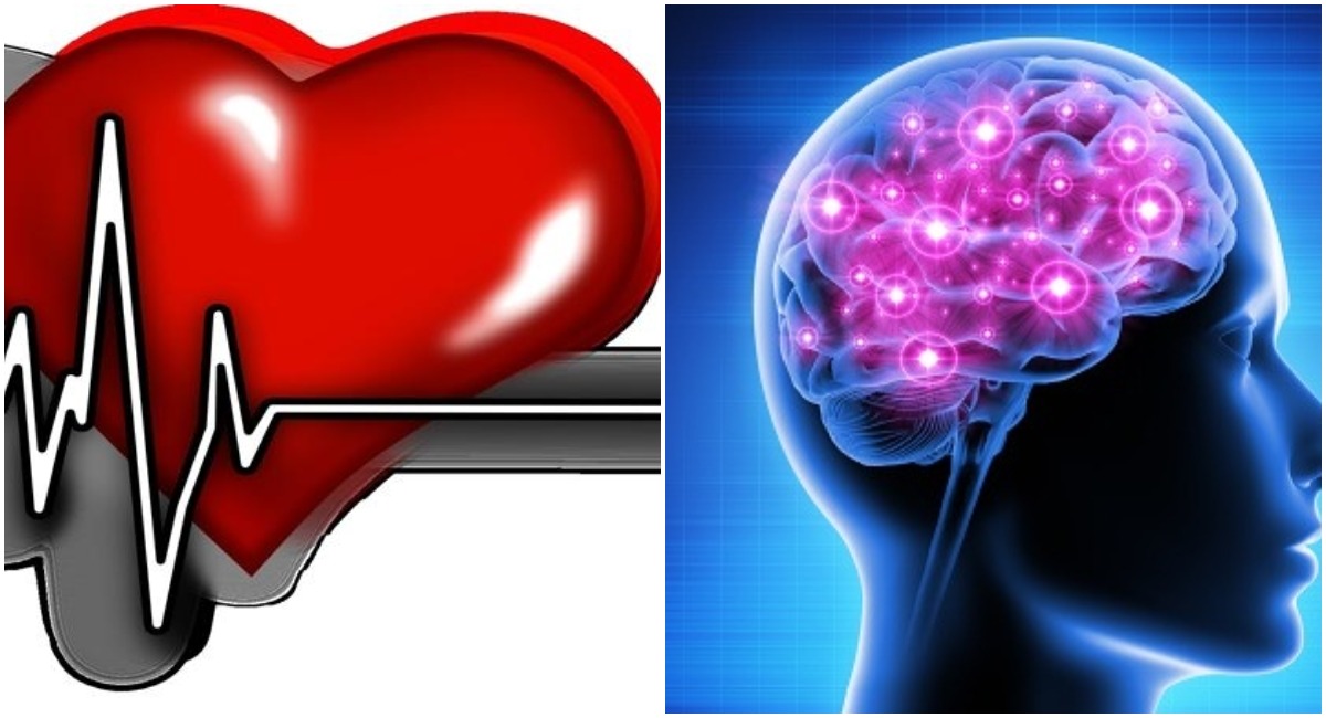 Changes in heart structure may affect thinking and memory skills: Study