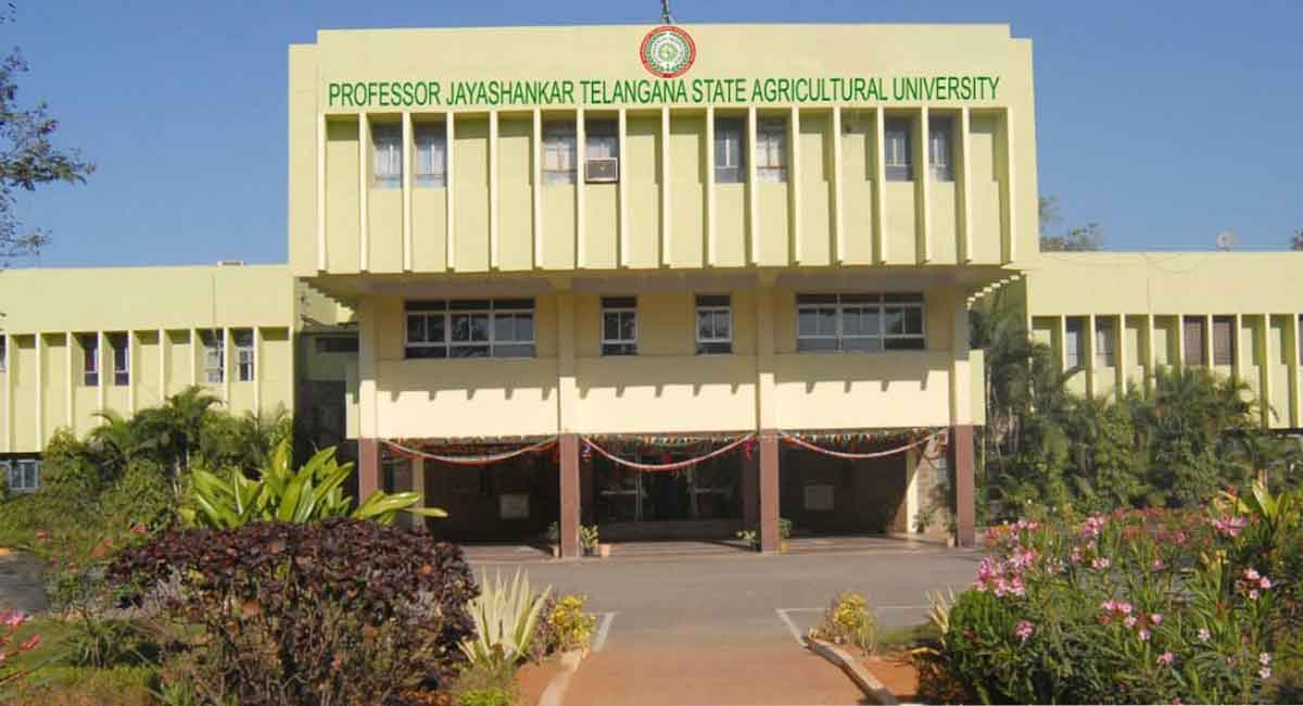 Agriculture course a big attraction