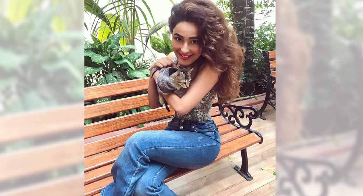 Actor Seerat Kapoor rescues Toyger, takes her home