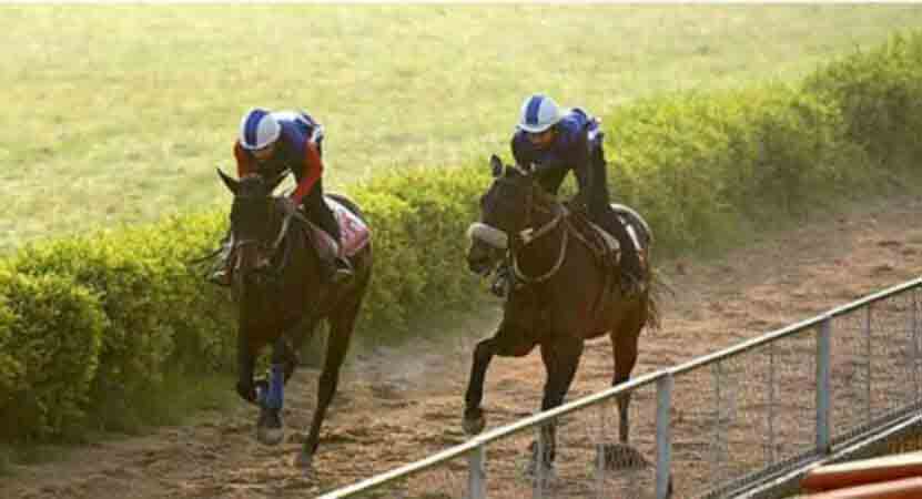 Imperial Power fancied for Mumbai feature