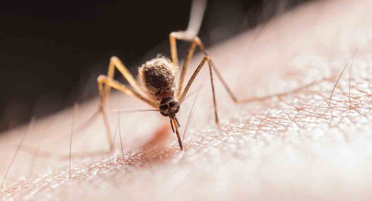 Telangana receives national recognition for malaria elimination