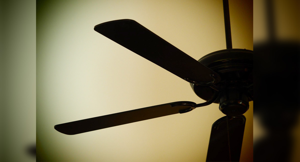 Want to live a sustainable and cool life? Choose more fans and less AC
