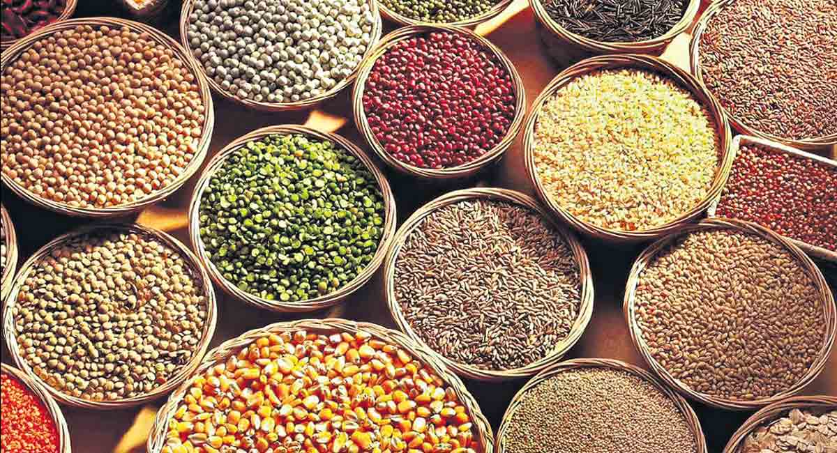 Opinion: Revive cultivation of ancient grains