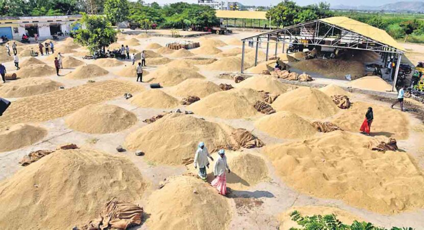 Telangana administration gears up for paddy procurement