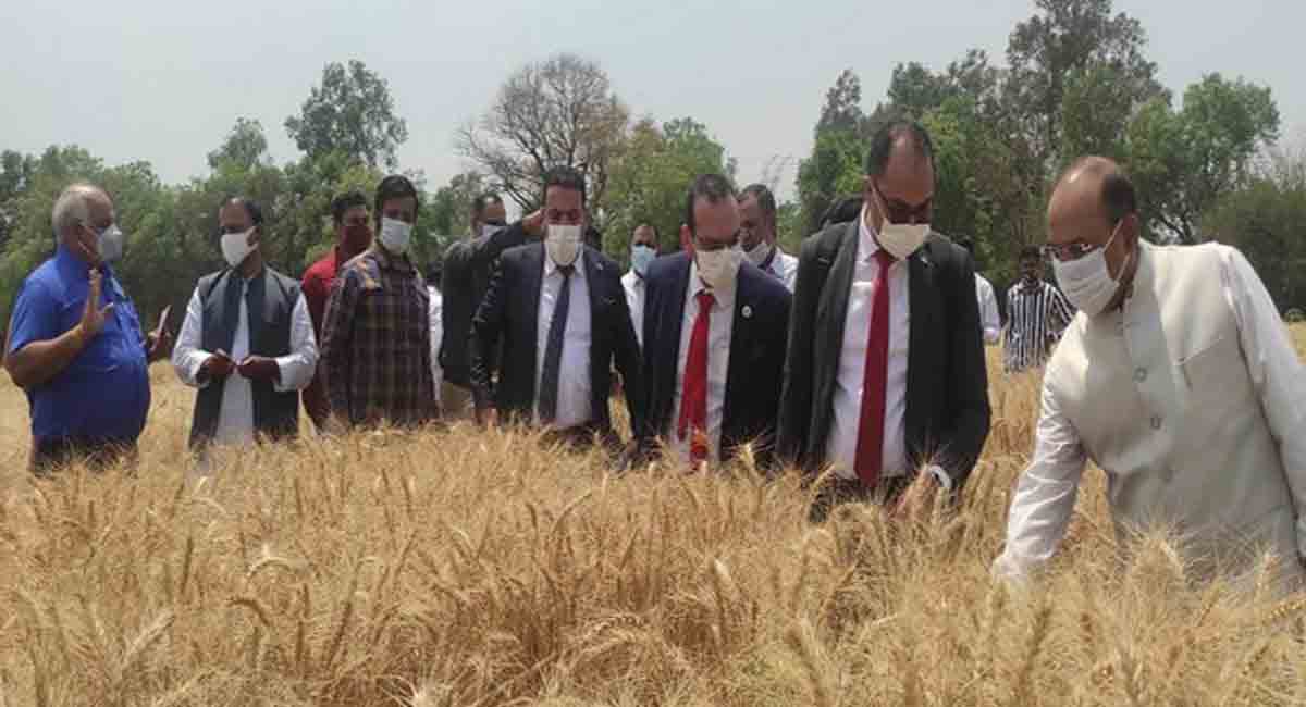 Egypt approves India as wheat supplier, announces Piyush Goyal