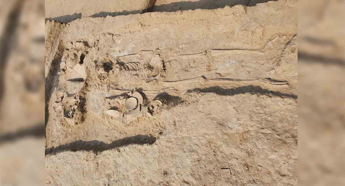 Archaeological Survey of India digs up millennia-old planned Harappan city in Haryana
