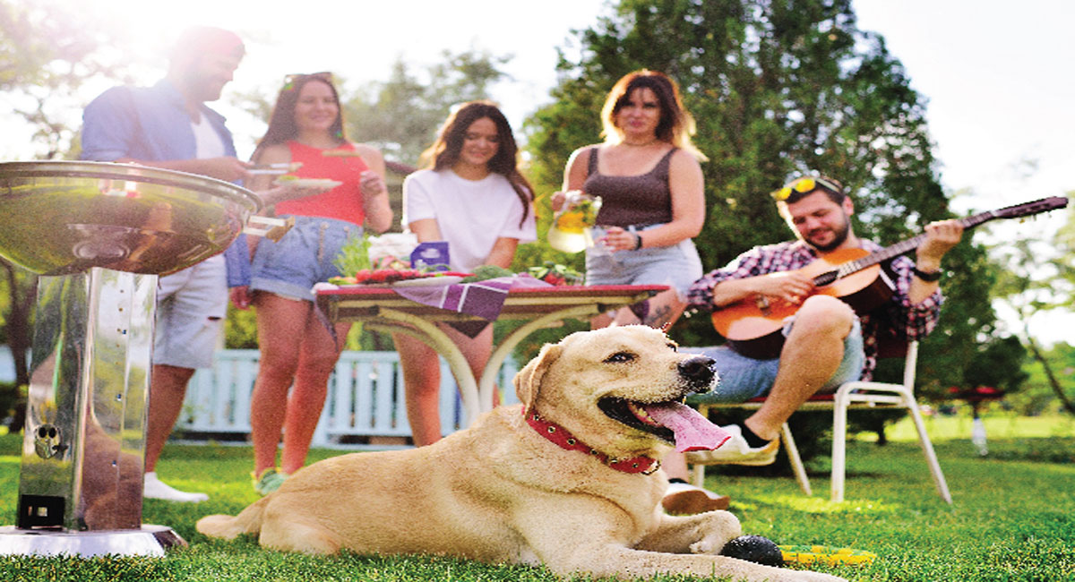 Novotel hosts ‘Petnic’ Carnival on May 28 for your fur buddies