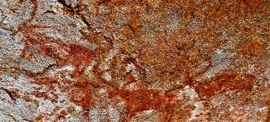 Mesolithic rock art site discovered in Yadadri Bhuvanagiri