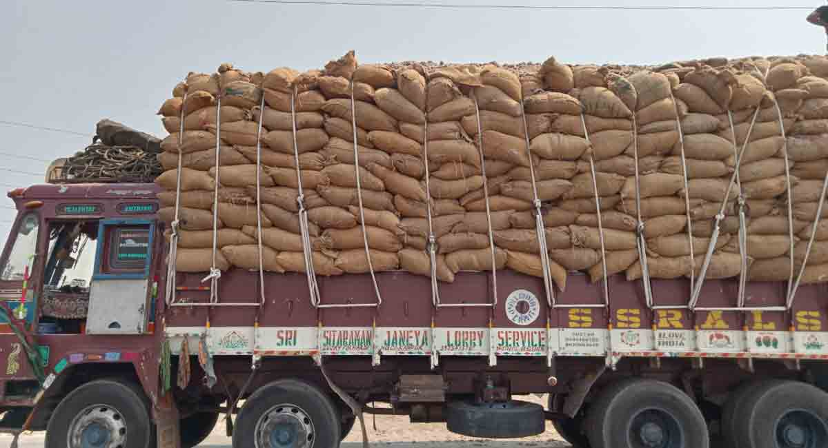 Hyderabad: Interstate ganja smuggling gang busted, 800 kg ganja seized