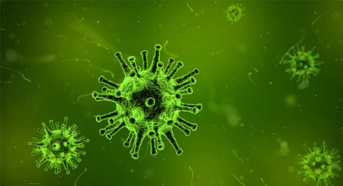 United Kingdom reports Monkeypox virus case