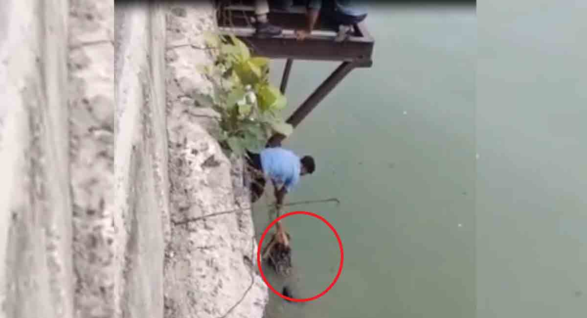 Watch: Youngster jumps into Hussain Sagar, rescued