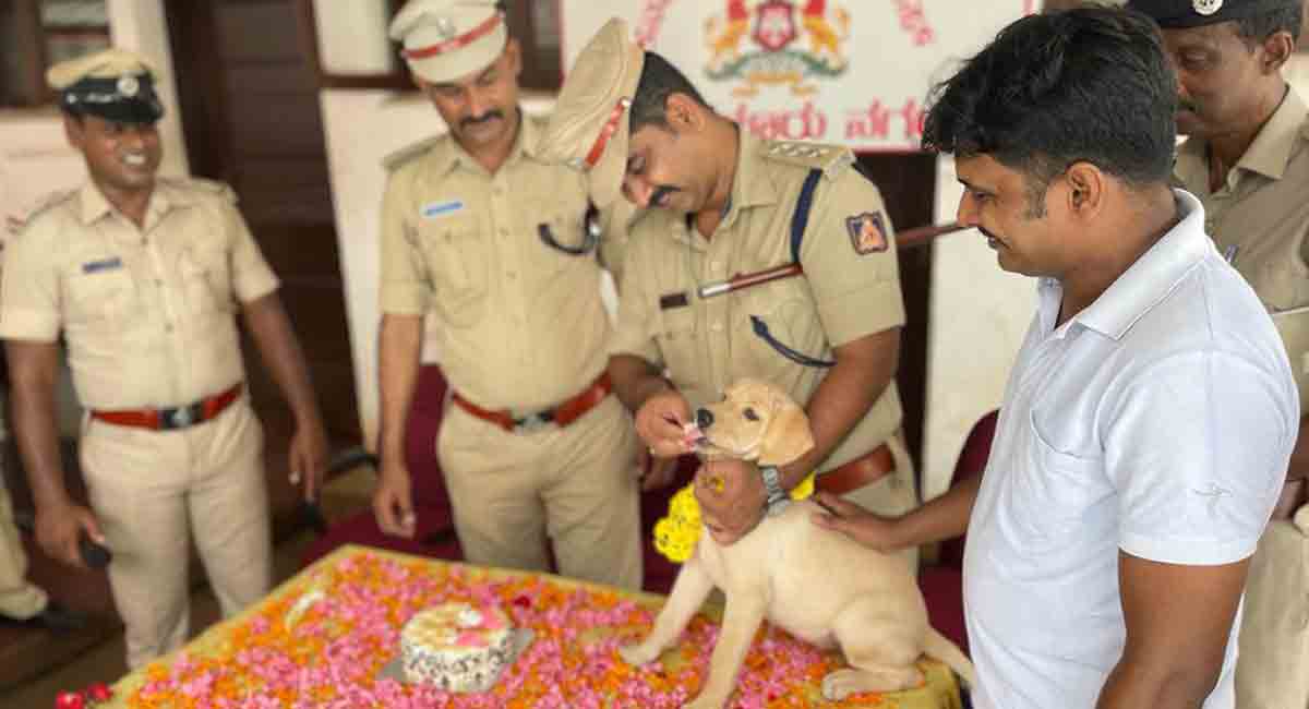 Karnataka: Police dog named after canine character in ‘777 Charlie’ movie