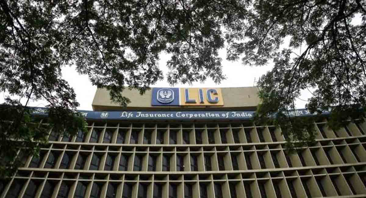 Investors lose Rs 1.2 lakh crore as LIC shares tumble 20 per cent below issue price