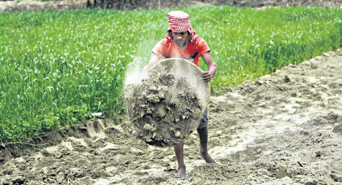 Opinion: Making MGNREGS climate-proof