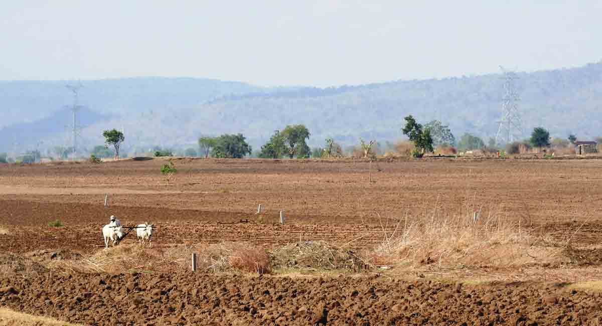 Farming activities gain momentum in erstwhile Adilabad